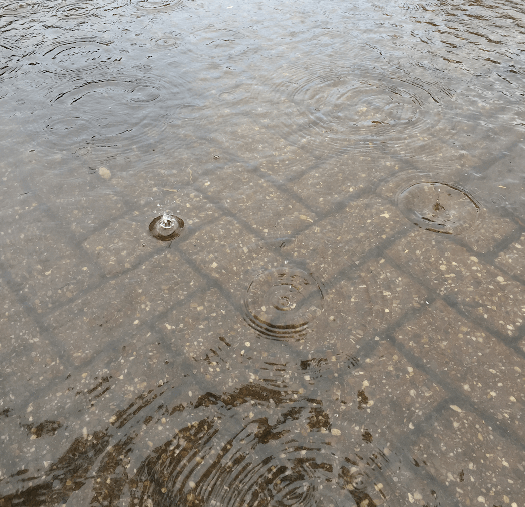 Overstroming na zware regenval. Enkele oplossingen voor in en rond je woning en voorkom hiermee tegelijk verstoppingen!